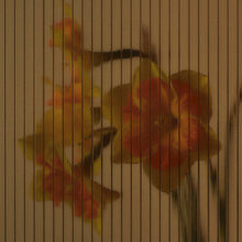 Carica l'immagine nel visualizzatore di Gallery, Pause