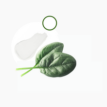 Carica l'immagine nel visualizzatore di Gallery, Pop-Eye