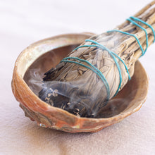 Carica l'immagine nel visualizzatore di Gallery, Conchiglie di Abalone per fumigazione