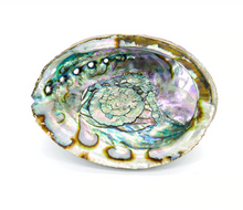 Carica l'immagine nel visualizzatore di Gallery, Conchiglie di Abalone per fumigazione