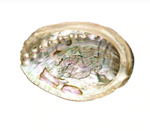 Carica l'immagine nel visualizzatore di Gallery, Conchiglie di Abalone per fumigazione