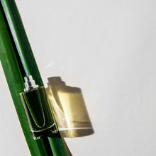 Carica l'immagine nel visualizzatore di Gallery, White Vetiver