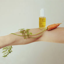 Carica l'immagine nel visualizzatore di Gallery, Sier di Carota
