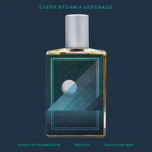 Carica l&#39;immagine nel visualizzatore di Gallery, Every Storm a Serenade
