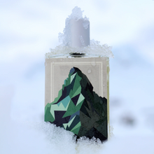 Carica l&#39;immagine nel visualizzatore di Gallery, The Language of Glaciers
